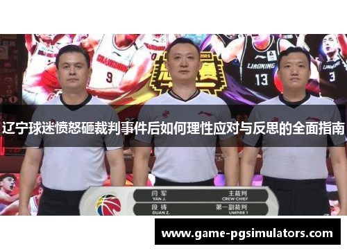 辽宁球迷愤怒砸裁判事件后如何理性应对与反思的全面指南