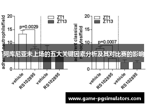 阿库尼亚未上场的五大关键因素分析及其对比赛的影响