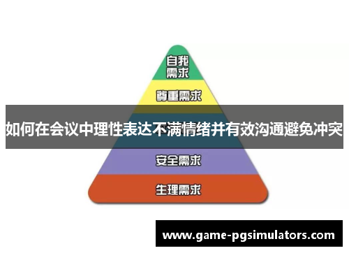 如何在会议中理性表达不满情绪并有效沟通避免冲突