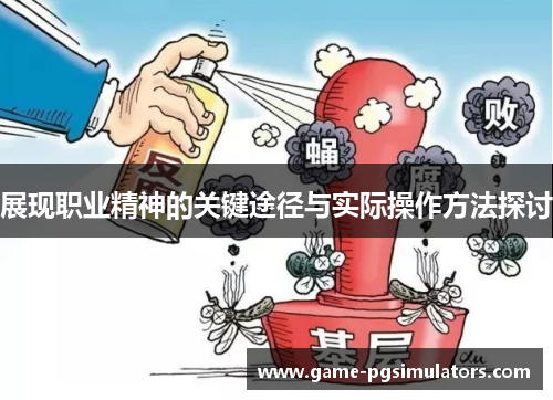 展现职业精神的关键途径与实际操作方法探讨